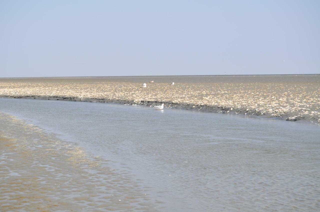 Ferienhaus Exner Hinter Dem Deich Cuxhaven Exteriör bild